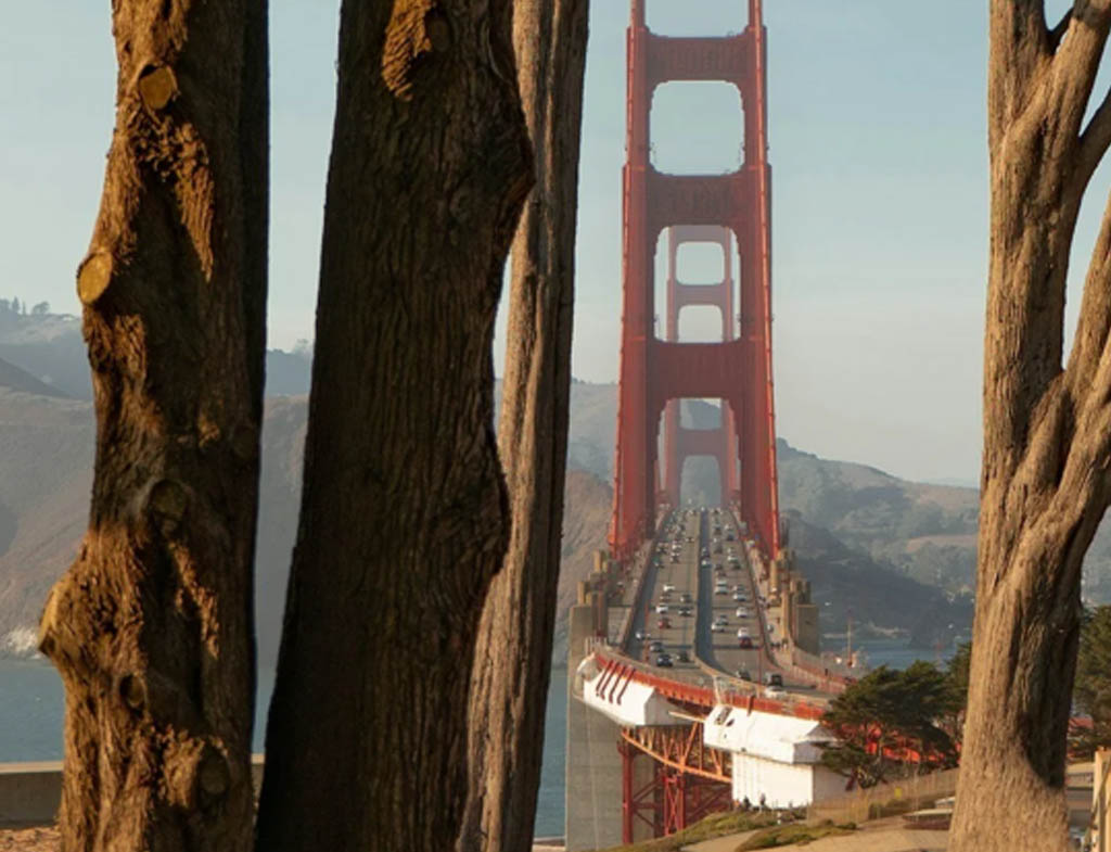 Finding the Right Therapist in San Francisco: A Comprehensive Guide