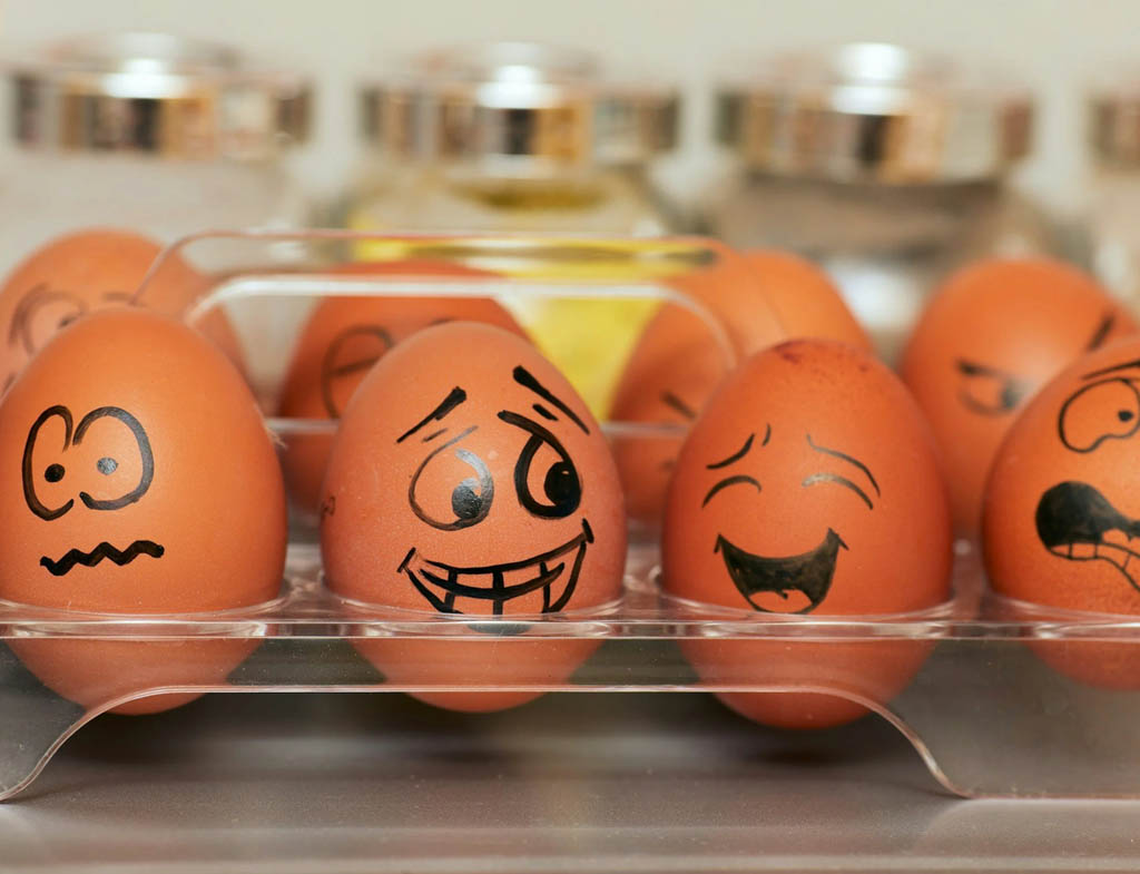 Emotional Intelligence: A Guide to Understanding and Enhancing This Vital Skill