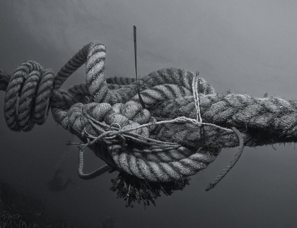 Understanding and Overcoming Codependency: Causes, Solutions, and a Path Toward Healthy Relationships